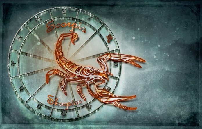 Portrait de l'homme Scorpion