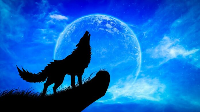 Les animaux et la voyance Quel est votre guide spirituel